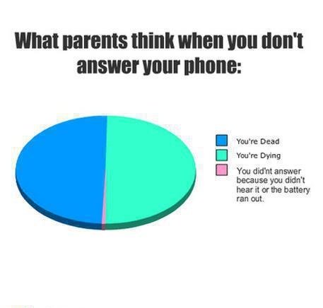What Parents Think
