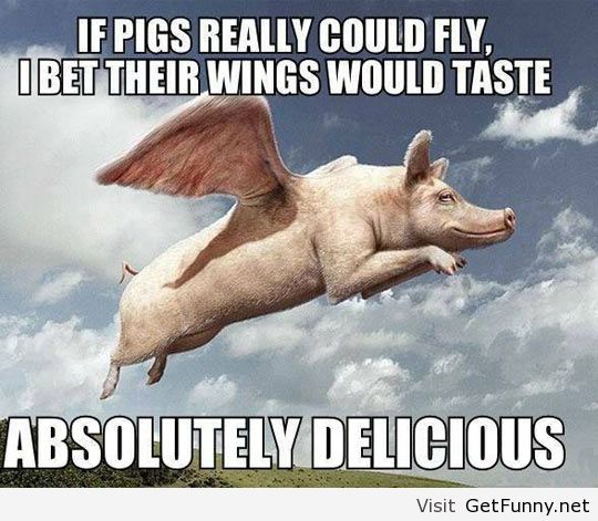 Pig Wings